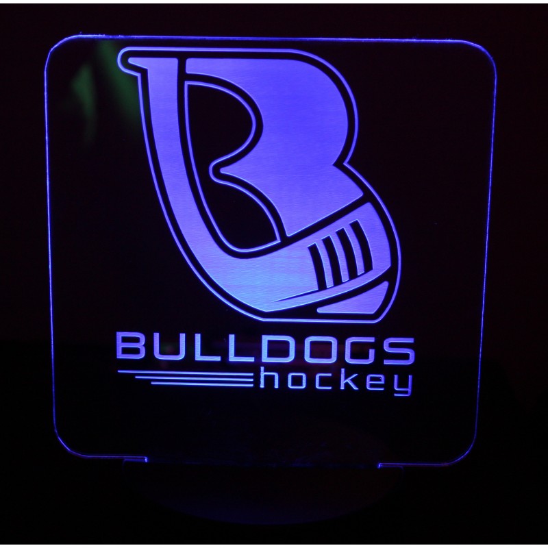 Club / Team Logo Only LED Illuminated Lights